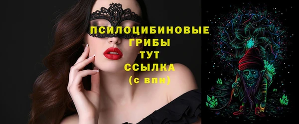 гашик Арсеньев