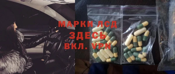 гашик Арсеньев