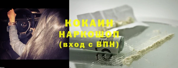 гашик Арсеньев