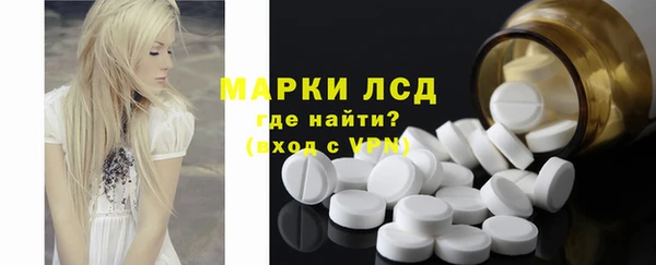 индика Аркадак